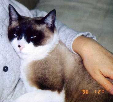 fujichan02.jpg