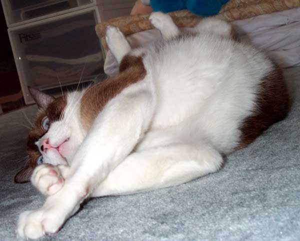 fujichan03.jpg
