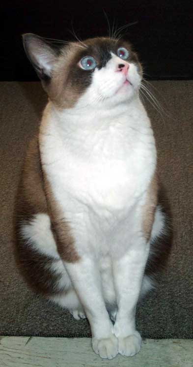 fujichan04.jpg