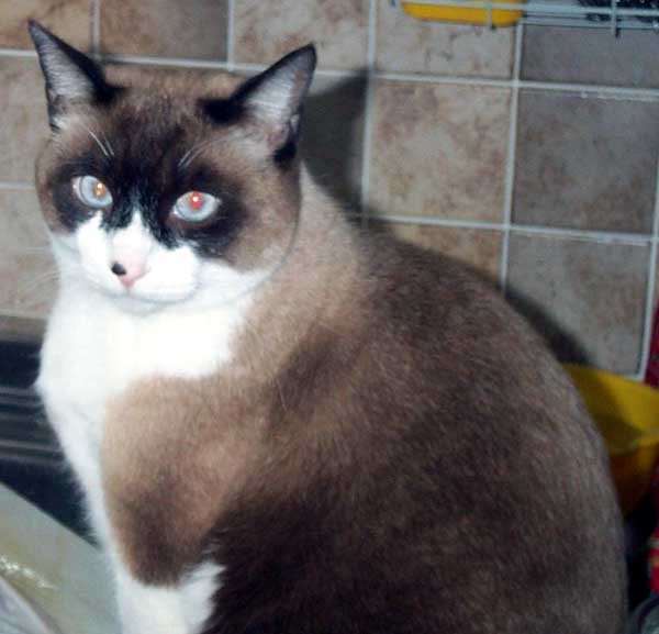 fujichan05.jpg