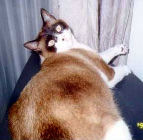 fujichan06.jpg