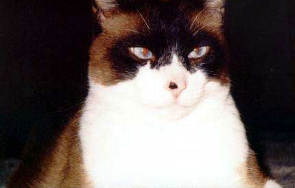 fujichan10.jpg