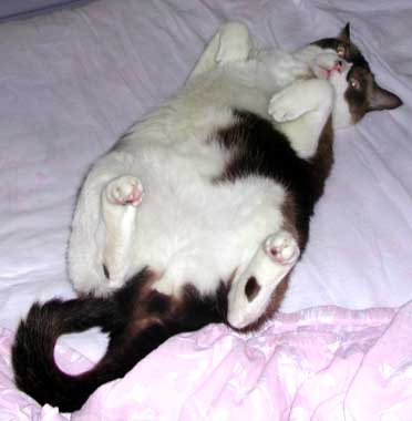 fujichan19.jpg